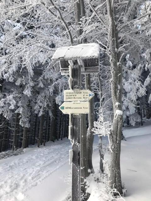 Ubytovani U Potoka Destne v Orlickych horach Extérieur photo