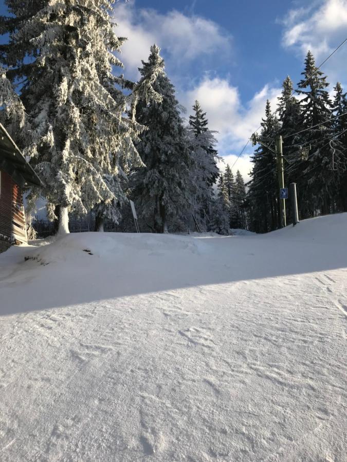 Ubytovani U Potoka Destne v Orlickych horach Extérieur photo