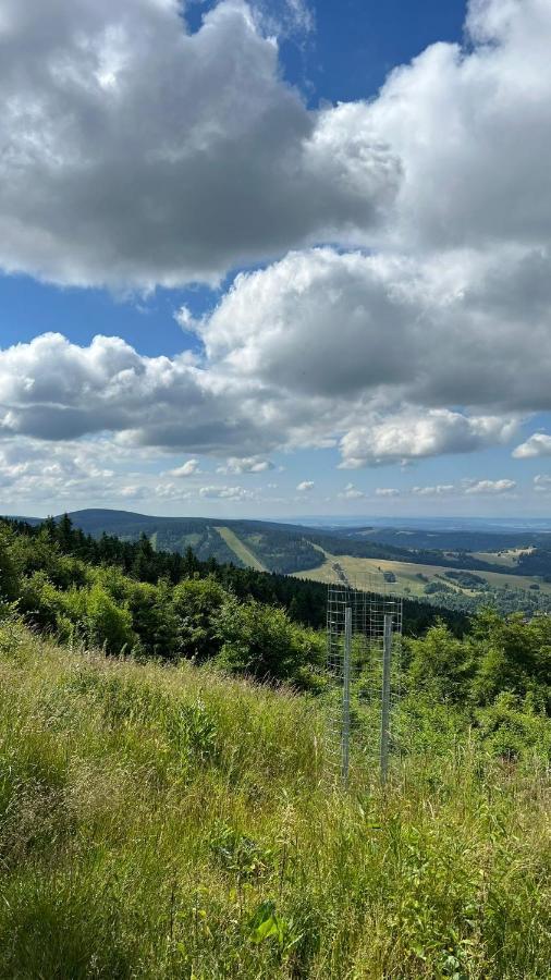 Ubytovani U Potoka Destne v Orlickych horach Extérieur photo